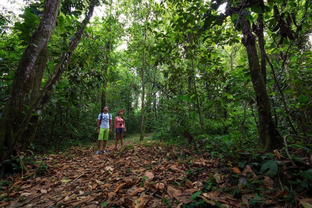 Arenal Ginger Home ラ・フォルトゥナ エクステリア 写真