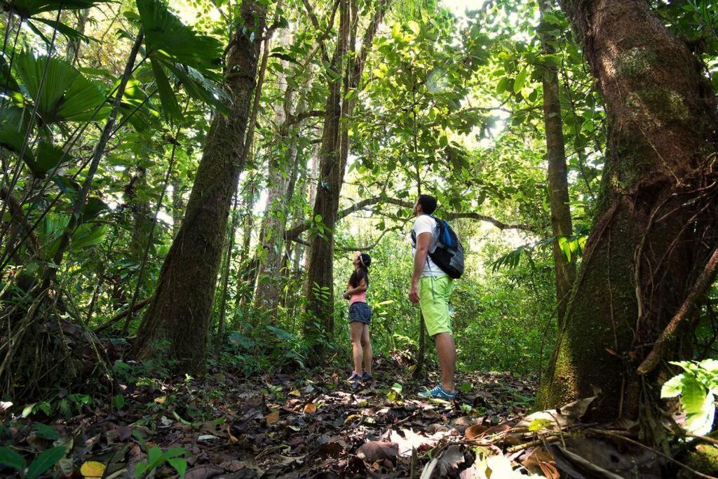 Arenal Ginger Home ラ・フォルトゥナ エクステリア 写真