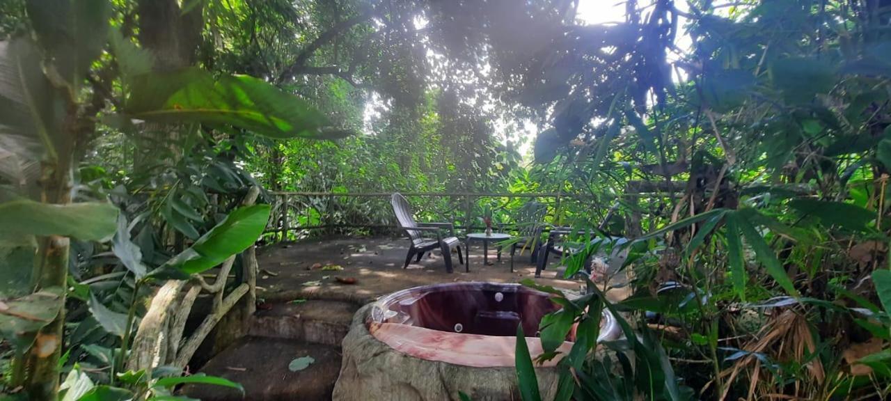 Arenal Ginger Home ラ・フォルトゥナ エクステリア 写真